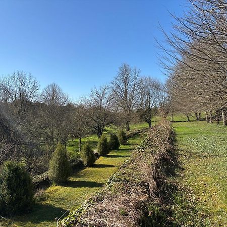 Chateau La Hussardiere Dampierre-sur-Salon ภายนอก รูปภาพ