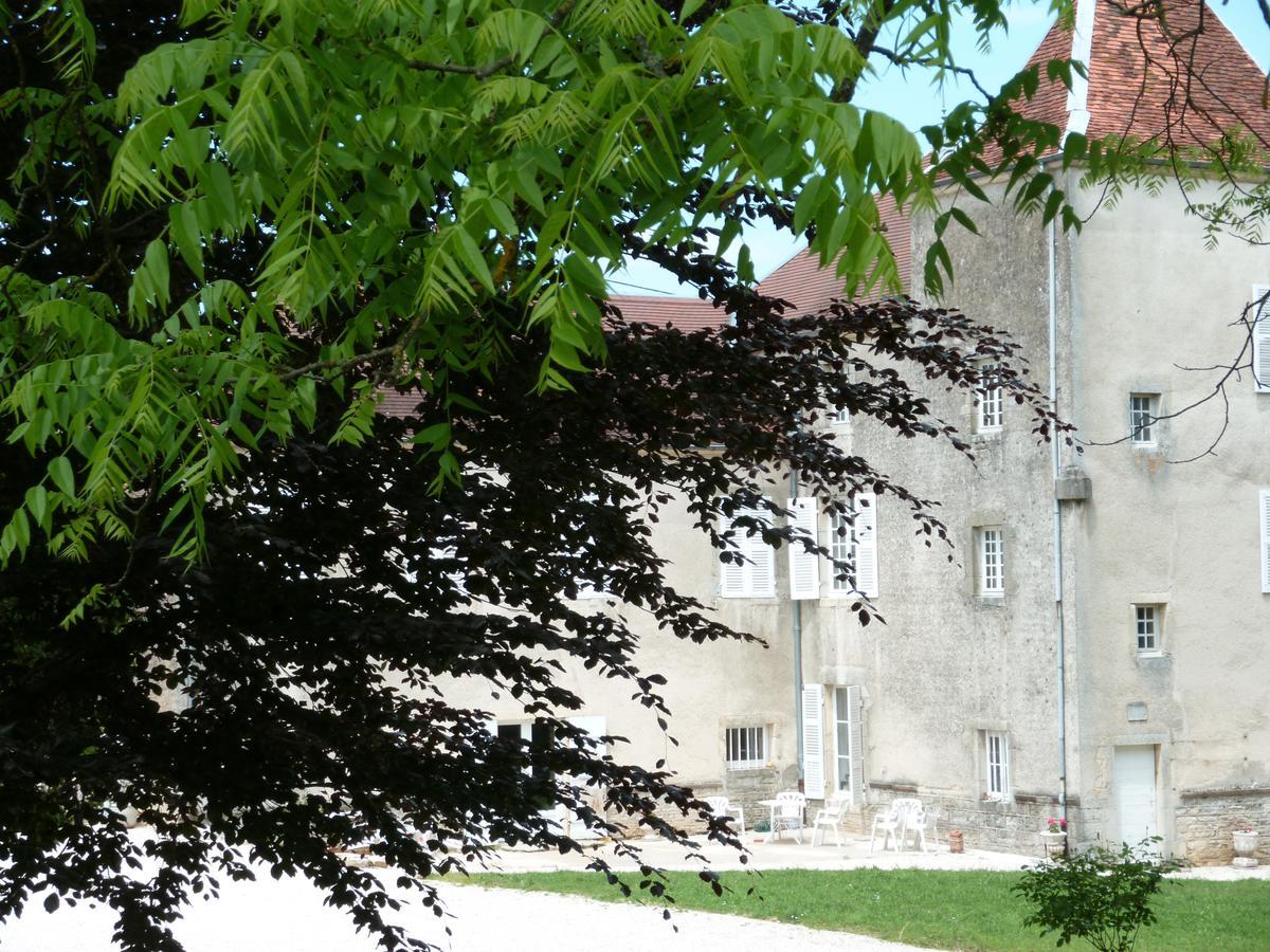 Chateau La Hussardiere Dampierre-sur-Salon ภายนอก รูปภาพ
