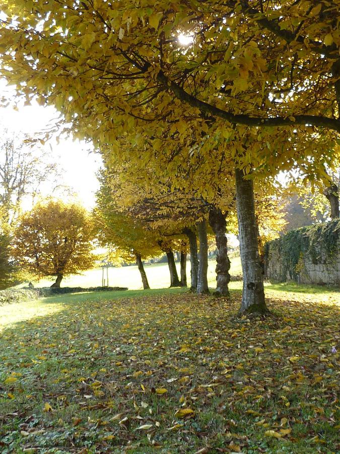 Chateau La Hussardiere Dampierre-sur-Salon ภายนอก รูปภาพ